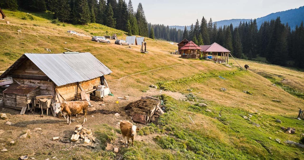 Samel'S Cottage Hrid'S Lake Prokletije بلاف المظهر الخارجي الصورة