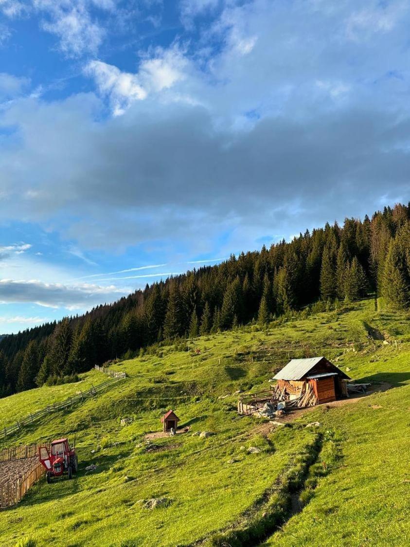 Samel'S Cottage Hrid'S Lake Prokletije بلاف المظهر الخارجي الصورة