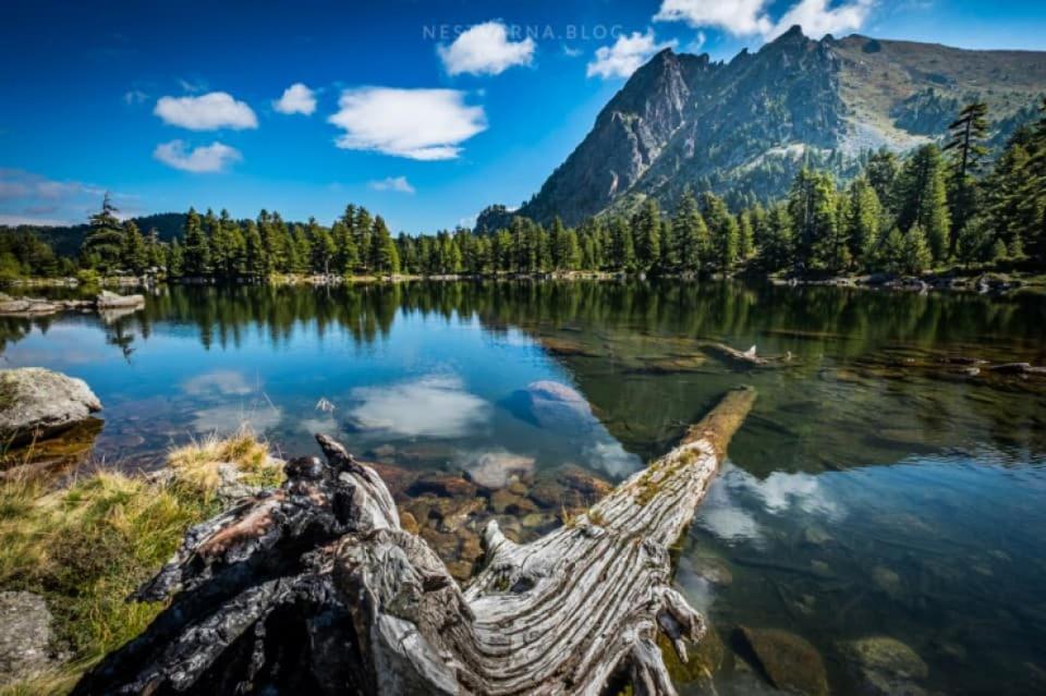 Samel'S Cottage Hrid'S Lake Prokletije بلاف المظهر الخارجي الصورة